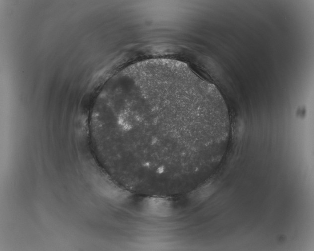 X0000110760327200907131216