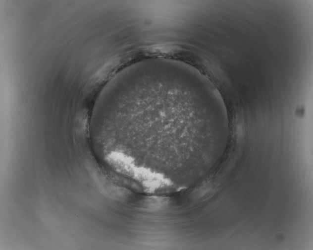 X0000110760328200907131216