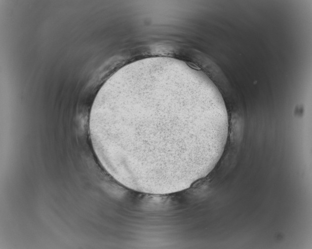 X0000110760329200907131216