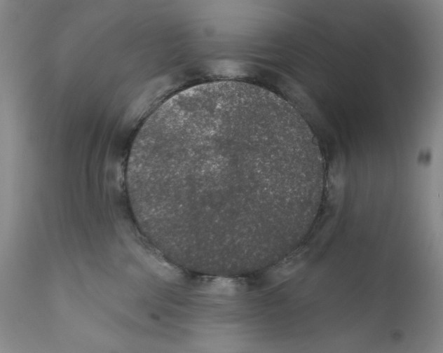 X0000110760330200907131216