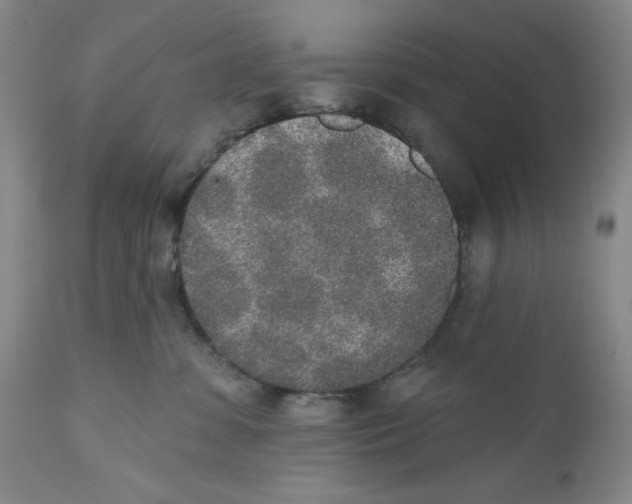 X0000110760331200907131216