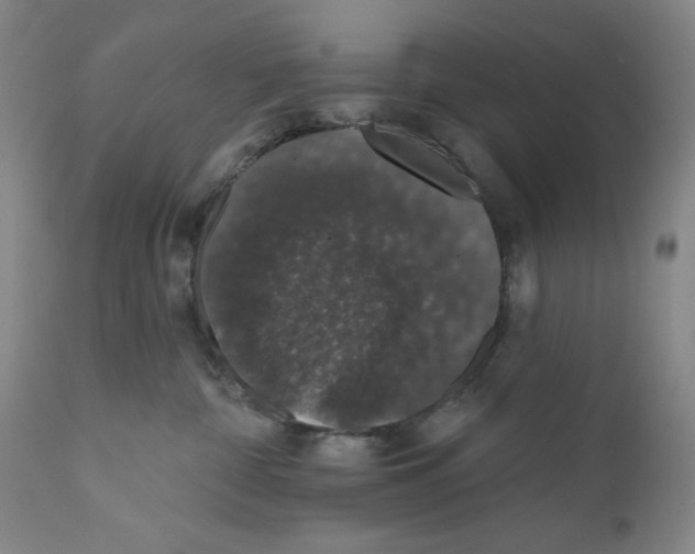 X0000110760332200907131216