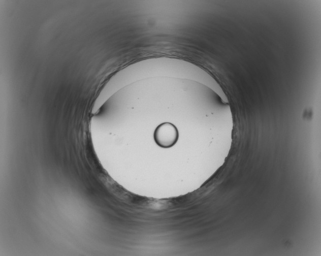 X0000110760333200907131216