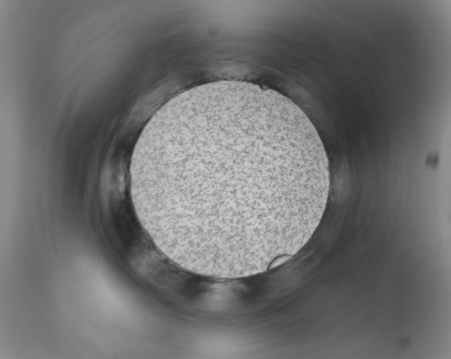 X0000110760334200907131216