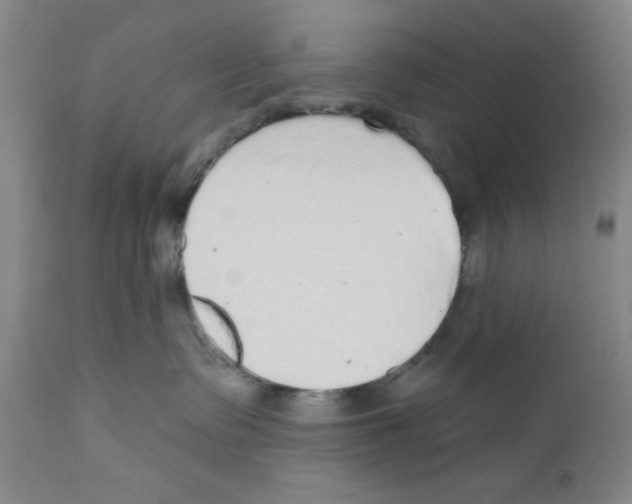 X0000110760335200907131216