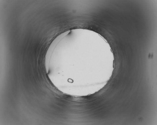 X0000110760336200907131216