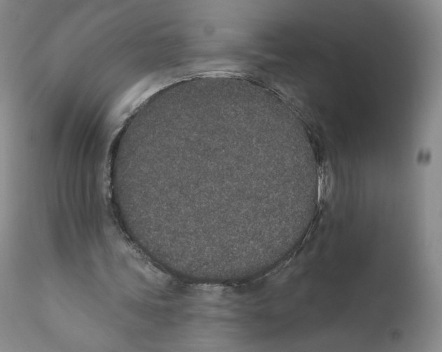 X0000110760339200907131215