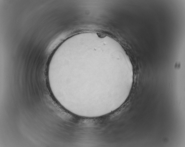 X0000110760341200907131215