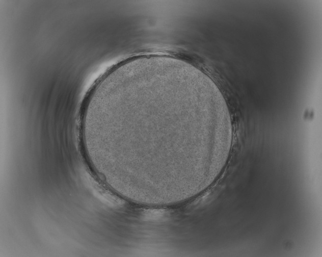X0000110760342200907131215
