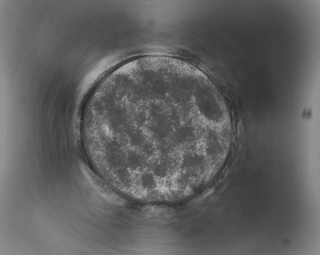 X0000110760343200907131215