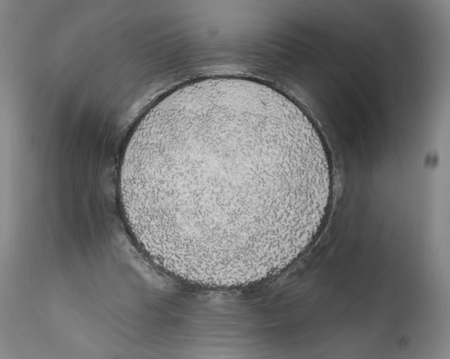 X0000110760345200907131215
