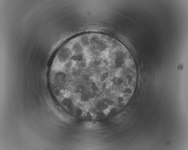 X0000110760346200907131215