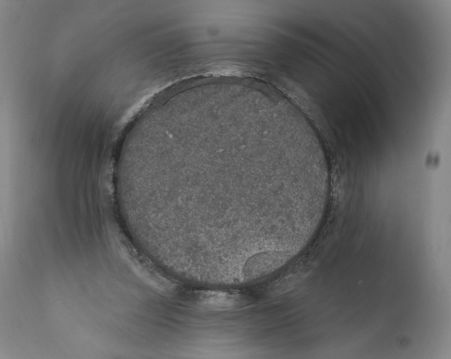 X0000110760347200907131215