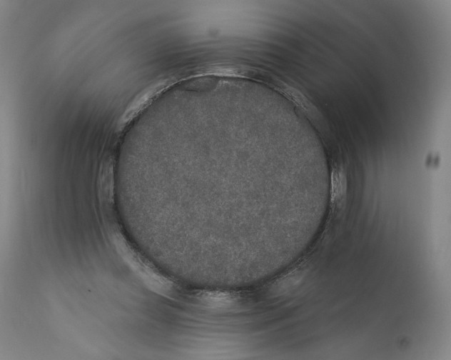 X0000110760349200907131215