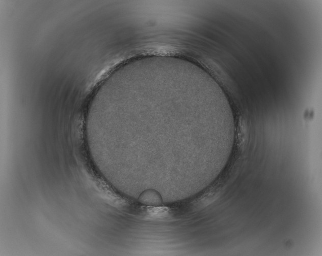 X0000110760355200907131215