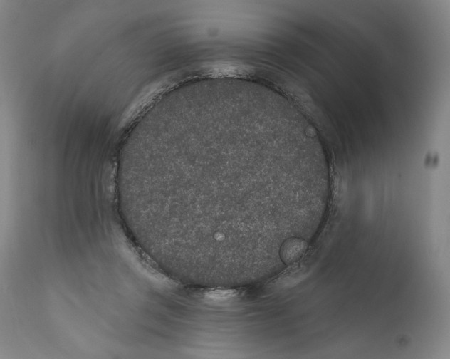 X0000110760357200907131215