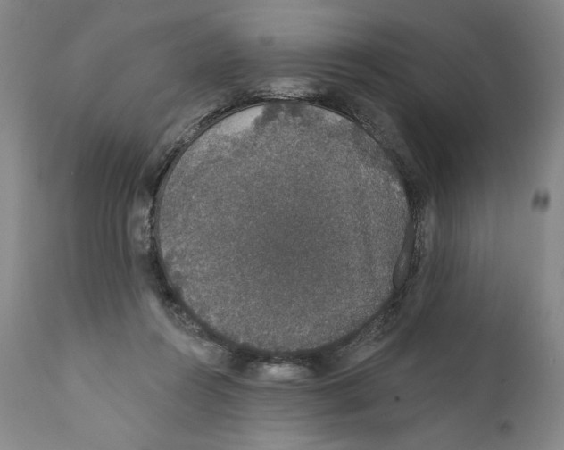X0000110760360200907131215