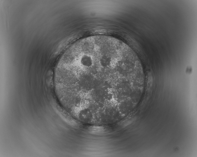 X0000110760361200907131215