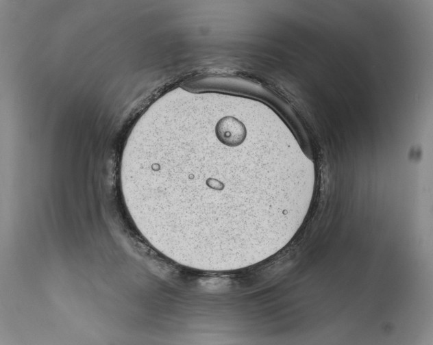 X0000110760362200907131215