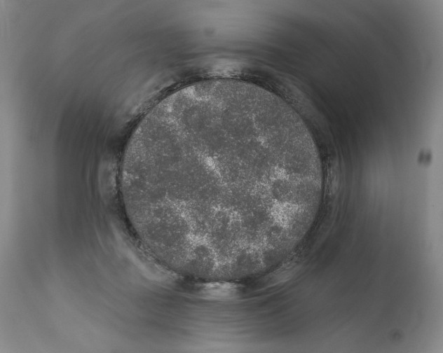 X0000110760363200907131215