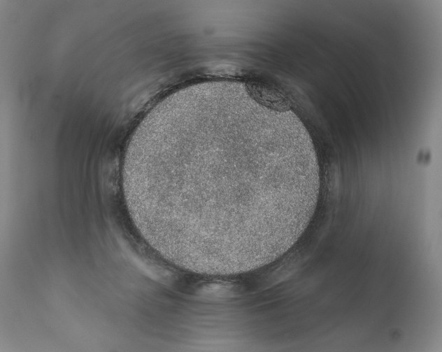 X0000110760364200907131215