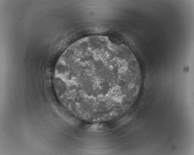 X0000110760366200907131215