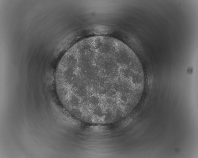 X0000110760367200907131215