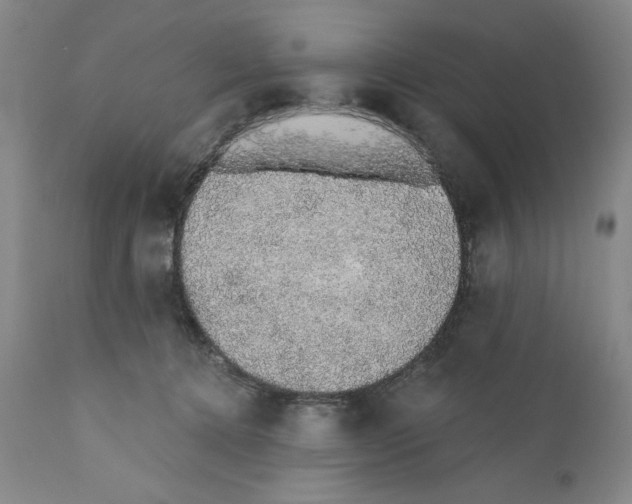 X0000110760368200907131216