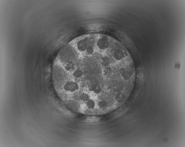 X0000110760369200907131216