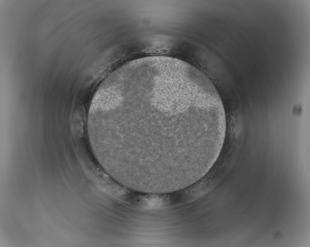 X0000110760370200907131216