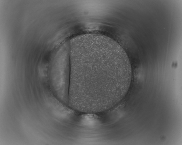 X0000110760372200907131216