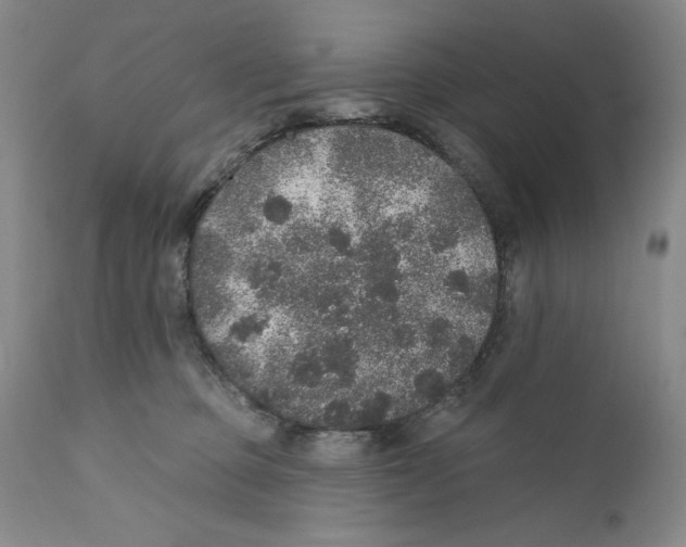X0000110760373200907131216