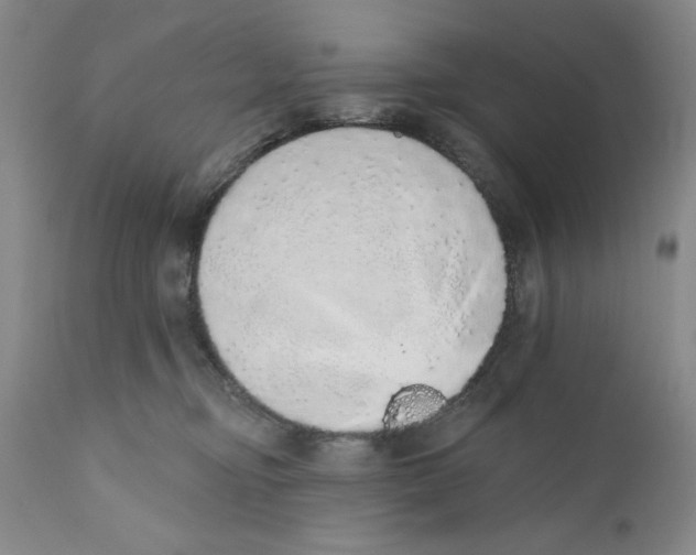 X0000110760374200907131216