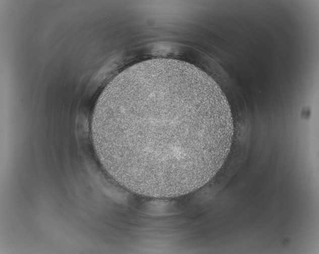 X0000110760375200907131216