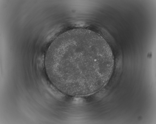 X0000110760376200907131216