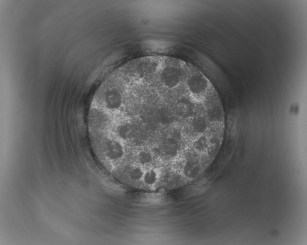X0000110760377200907131216