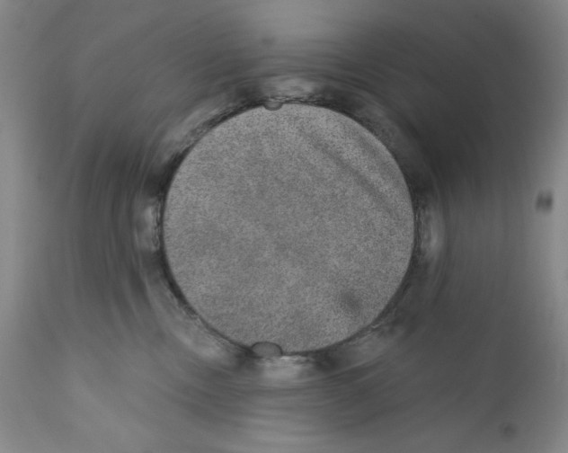 X0000110760378200907131216