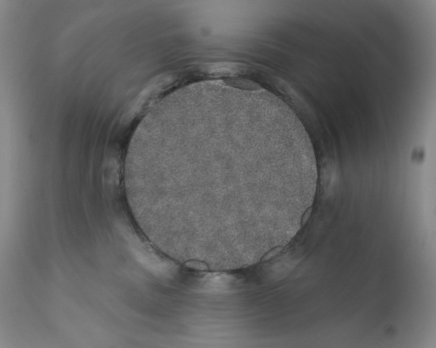 X0000110760379200907131216