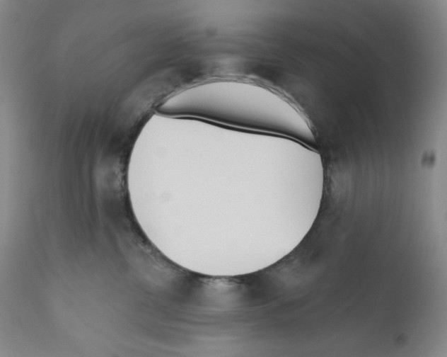 X0000110760380200907131216