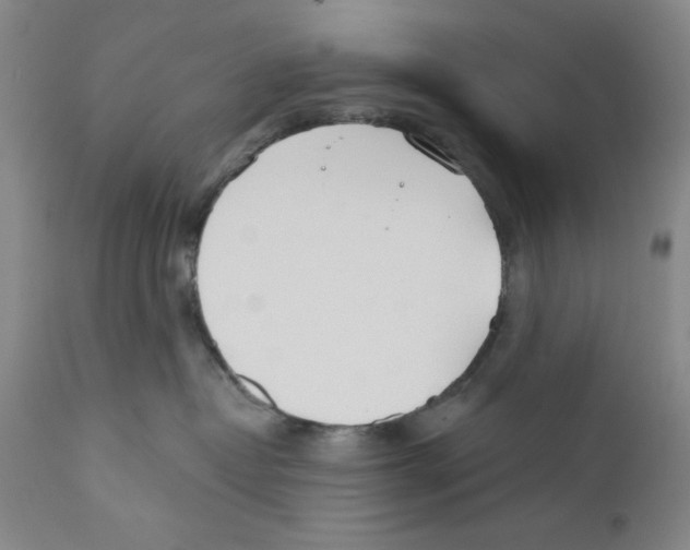 X0000110760382200907131216