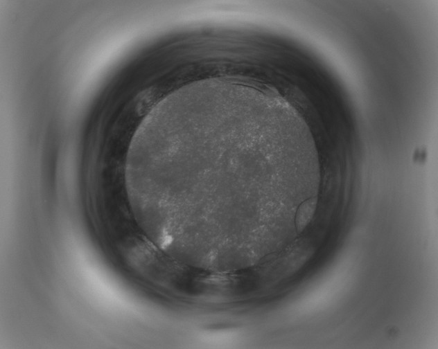 X0000110760383200907131216