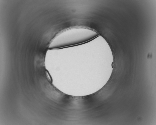 X0000110760384200907131216