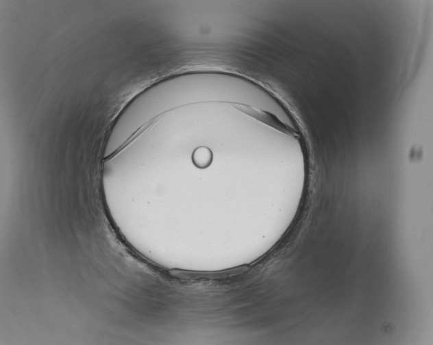 X0000110760385200907131215