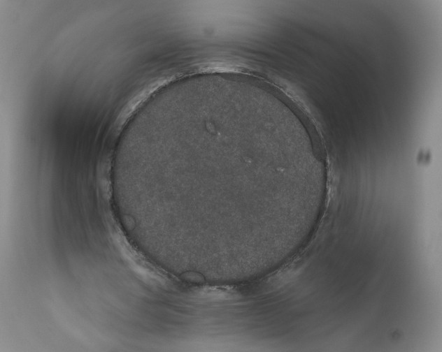 X0000110760386200907131215