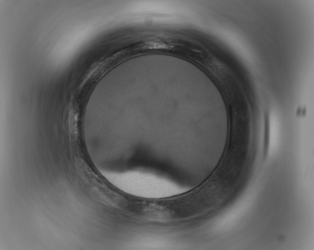 X0000110760387200907131215