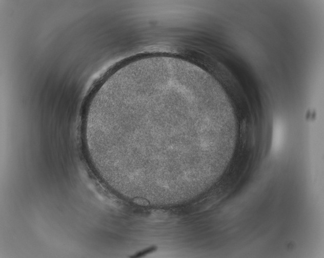 X0000110760388200907131215