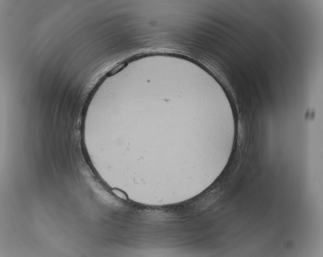X0000110760389200907131215