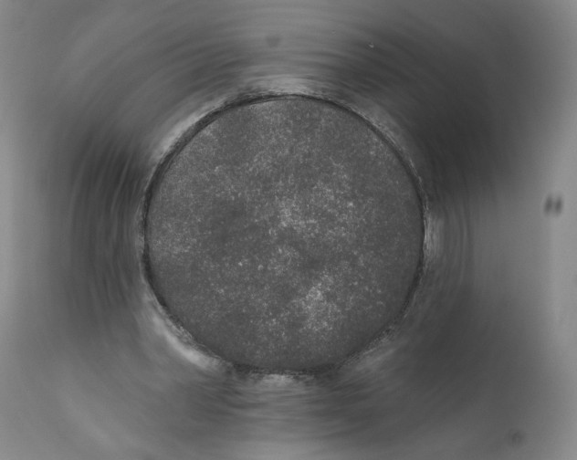 X0000110760390200907131215