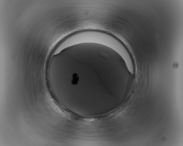 X0000110760391200907131215
