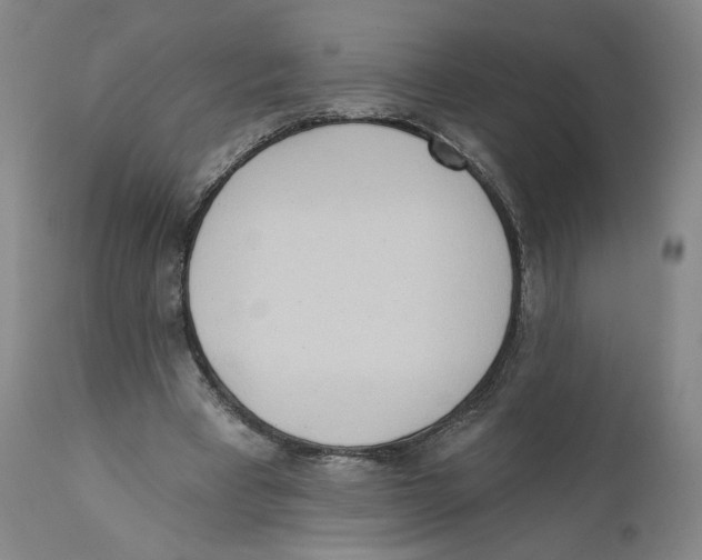 X0000110760393200907131215
